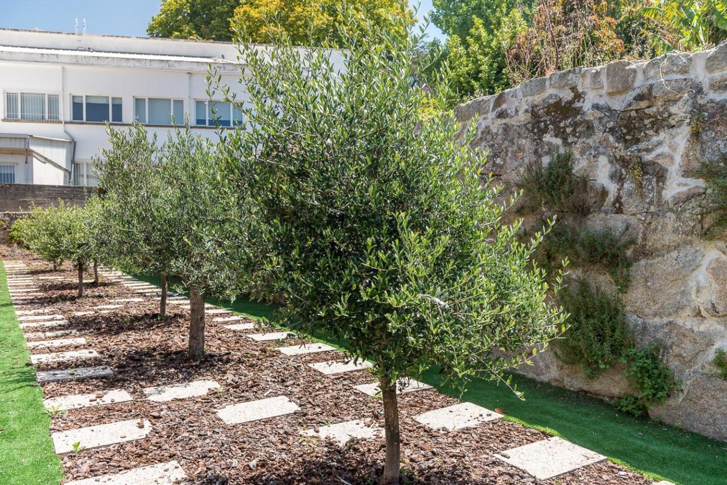 Guestready - Jardim Das Oliveiras Guesthouse - 2 Porto Zewnętrze zdjęcie